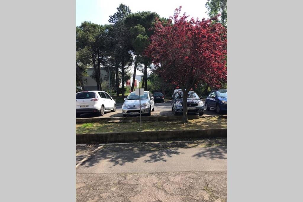 Bel Appartement Avec Vue Et Parking Prive Béziers Eksteriør bilde