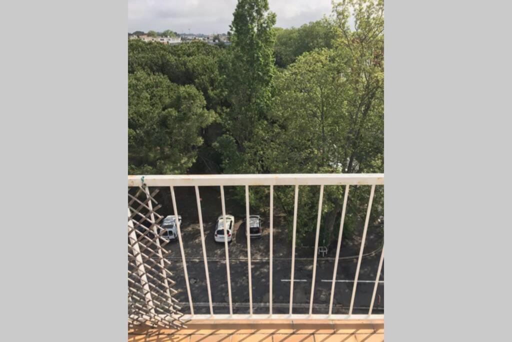 Bel Appartement Avec Vue Et Parking Prive Béziers Eksteriør bilde